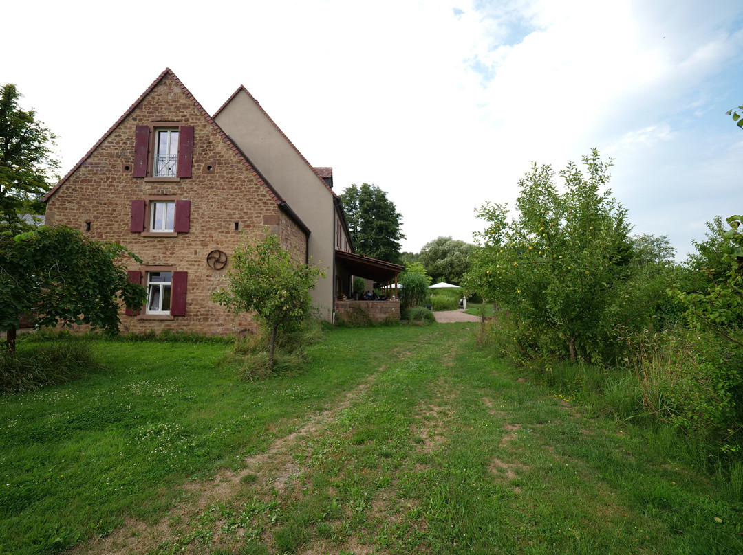 Landgrafen-Muehle主图