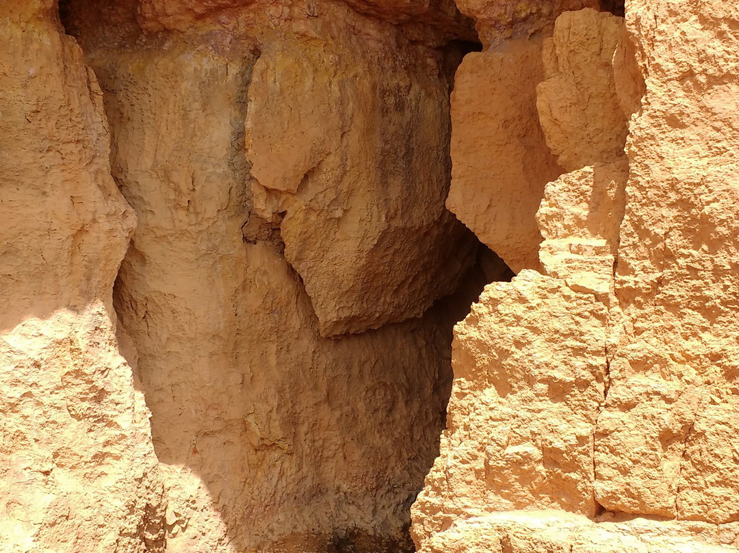 Cascade Falls Trail-锡达城必去景点
