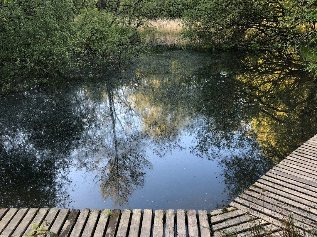 Prestwich Forest Park-曼彻斯特必去景点