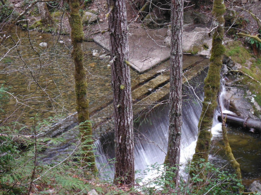 Holland Creek Hiking Trails景点图片
