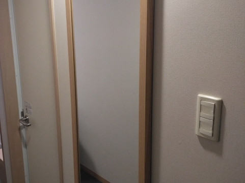 广岛大和ROYNET酒店主图