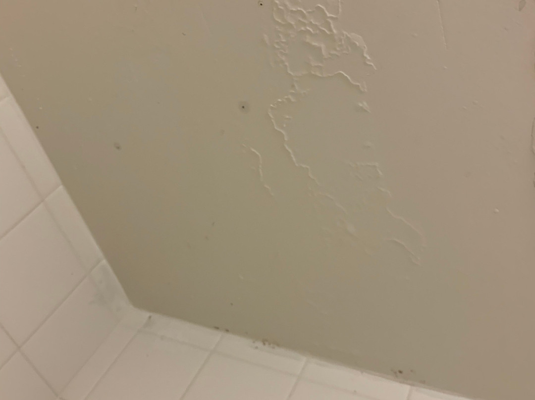 OYO Hotel Phenix City主图