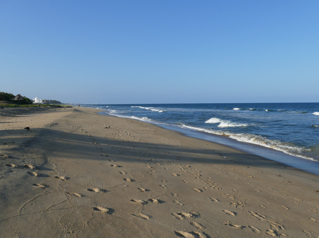 MGM Beach Resorts主图