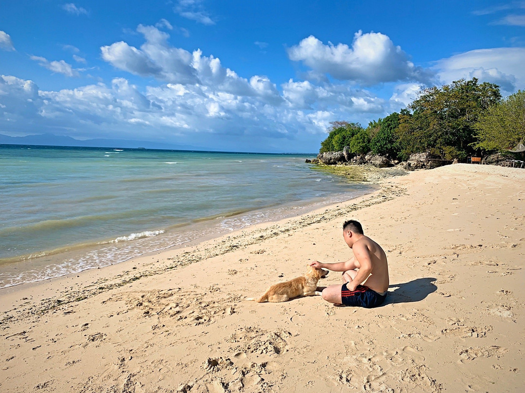 Grandeur Beach Resort主图