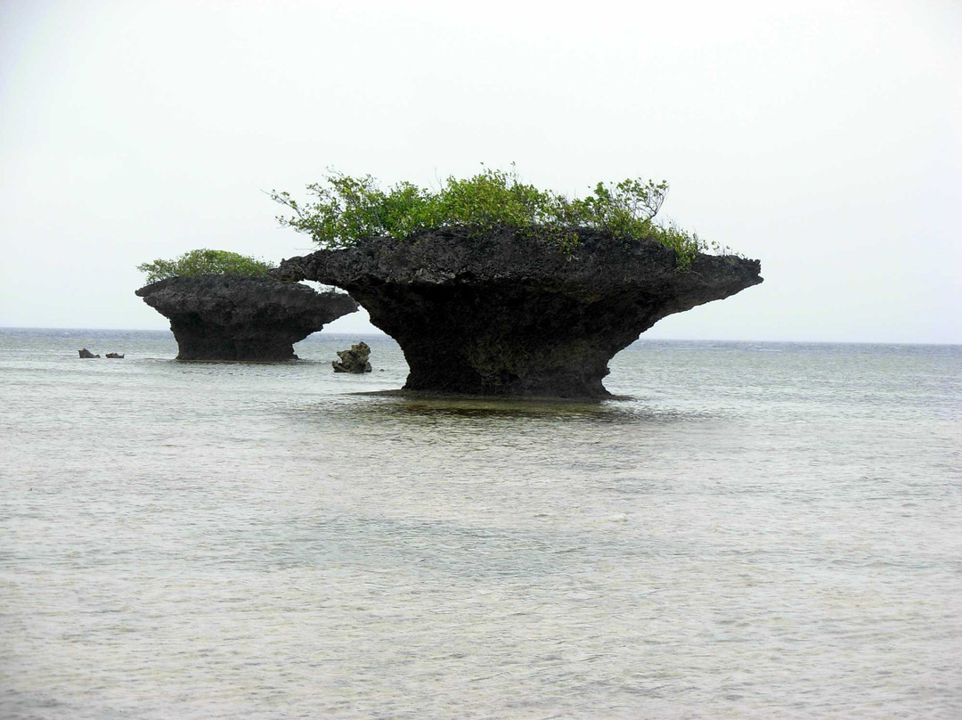 Mushroom Rock-莫阿尔博阿尔必去景点