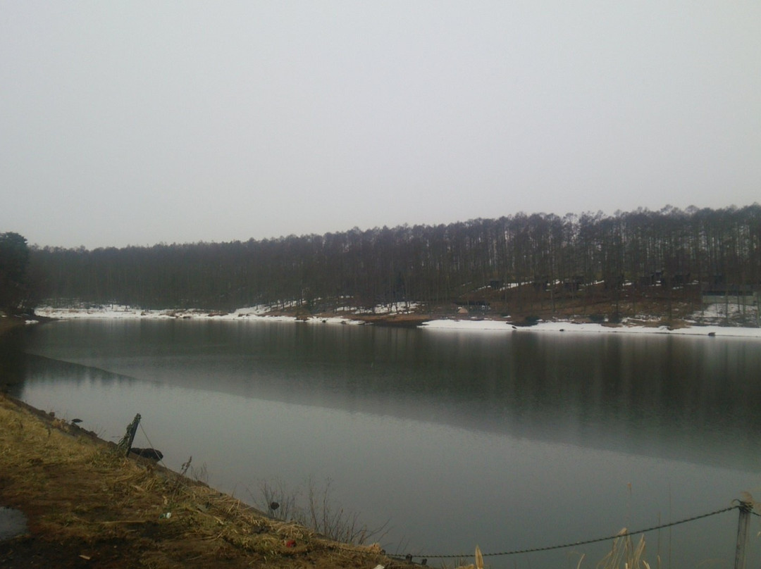 Daizahoshi Pond-长野县必去景点