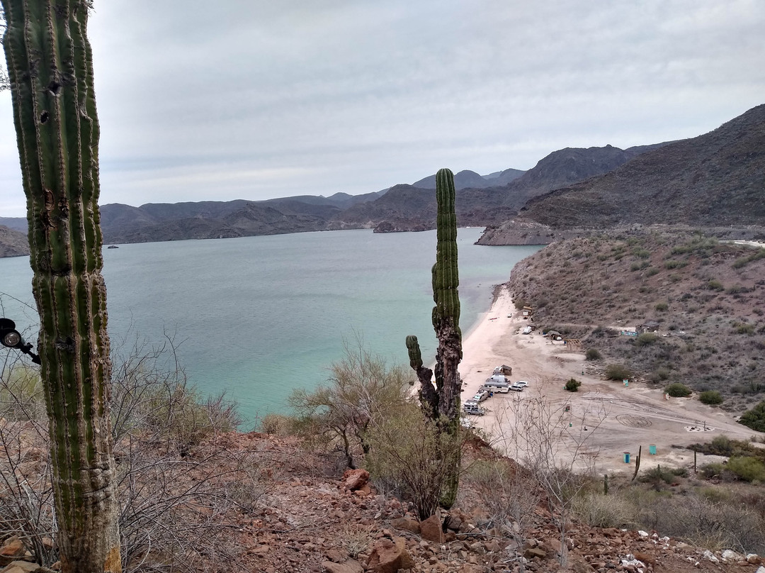 Bahía Concepción-Mulege必去景点