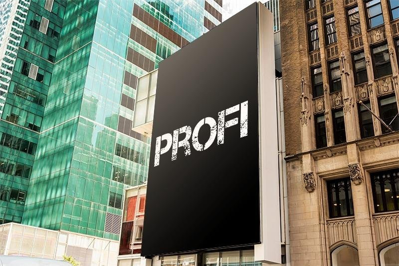 PROFi DRIVER New York, United States-纽约市必去景点