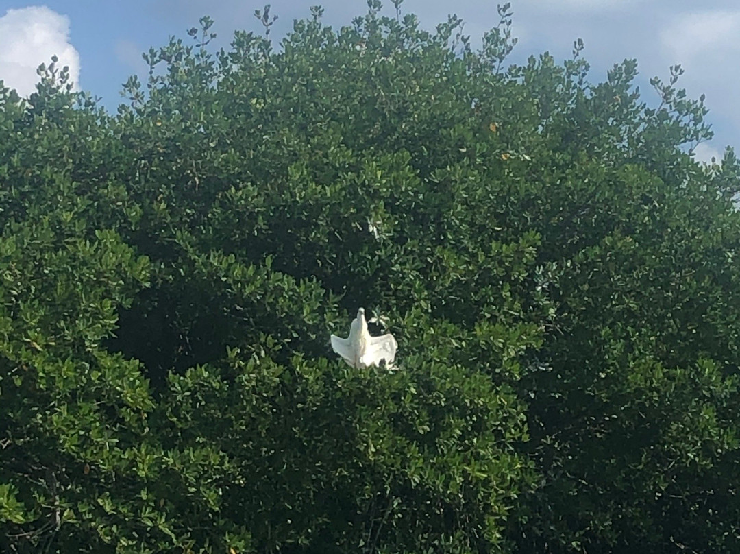 Marina La Bonita-从莫雷洛斯港必去景点