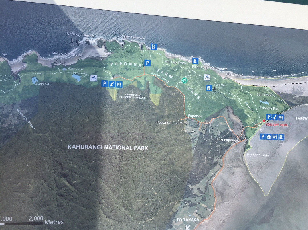 Farewell Spit and Puponga Farm Park Tracks景点图片