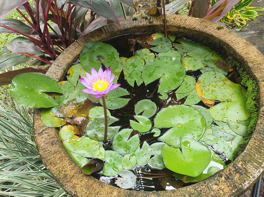 布和丝娃度假村主图