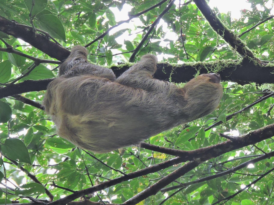 Wild Watch Peru-Manu必去景点
