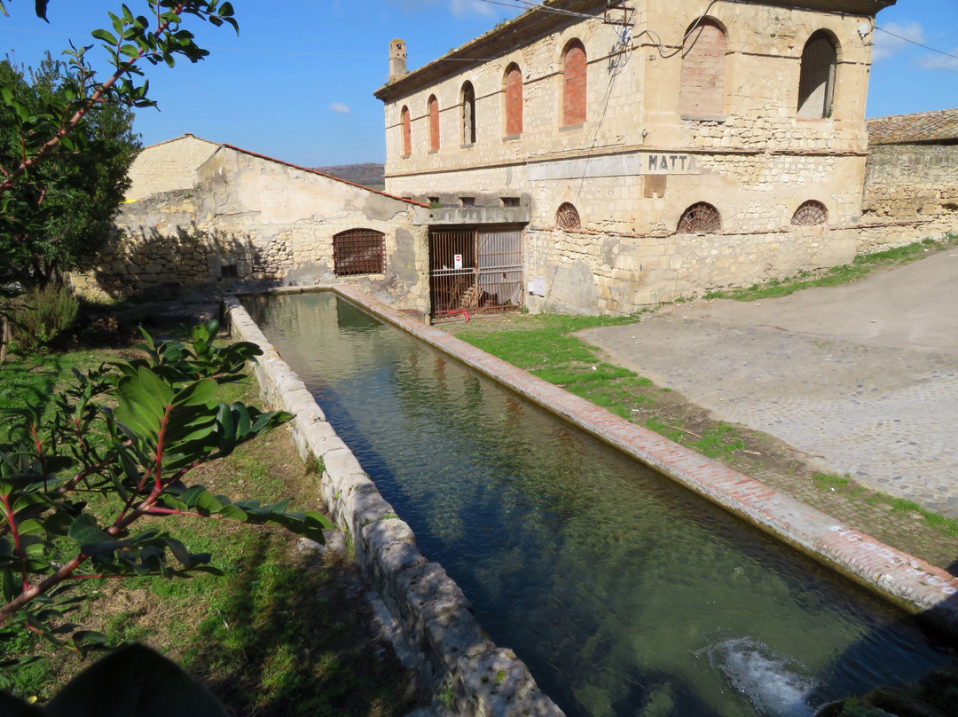 Fontana Nova-塔尔奎尼亚必去景点