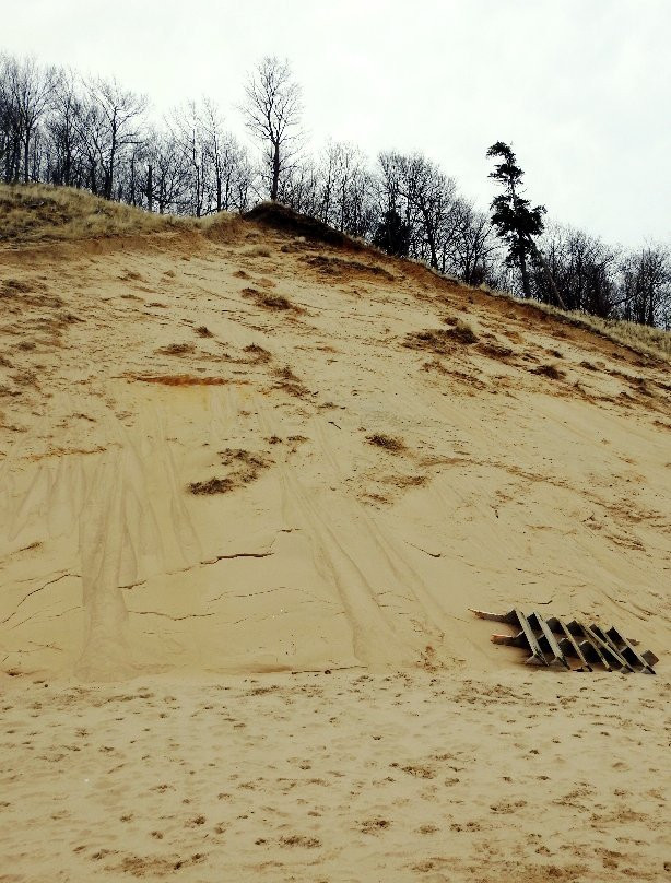 Kirk Park-West Olive必去景点