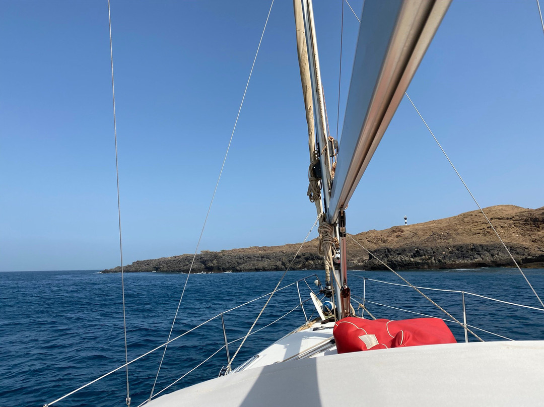 Sal Sea Safari-圣塔玛丽亚必去景点