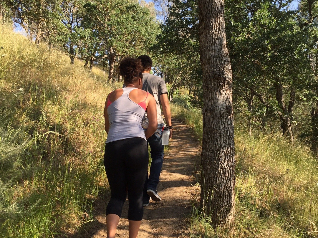 East Bay Regional Park District-奥克兰必去景点