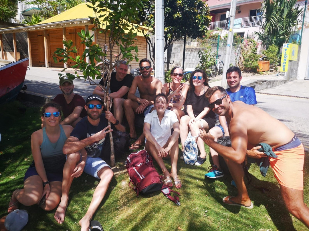 Pisquettes Plongée-Terre-de-Haut必去景点