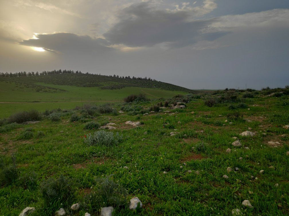 The Museum of Bedouin Culture-贝尔谢巴必去景点
