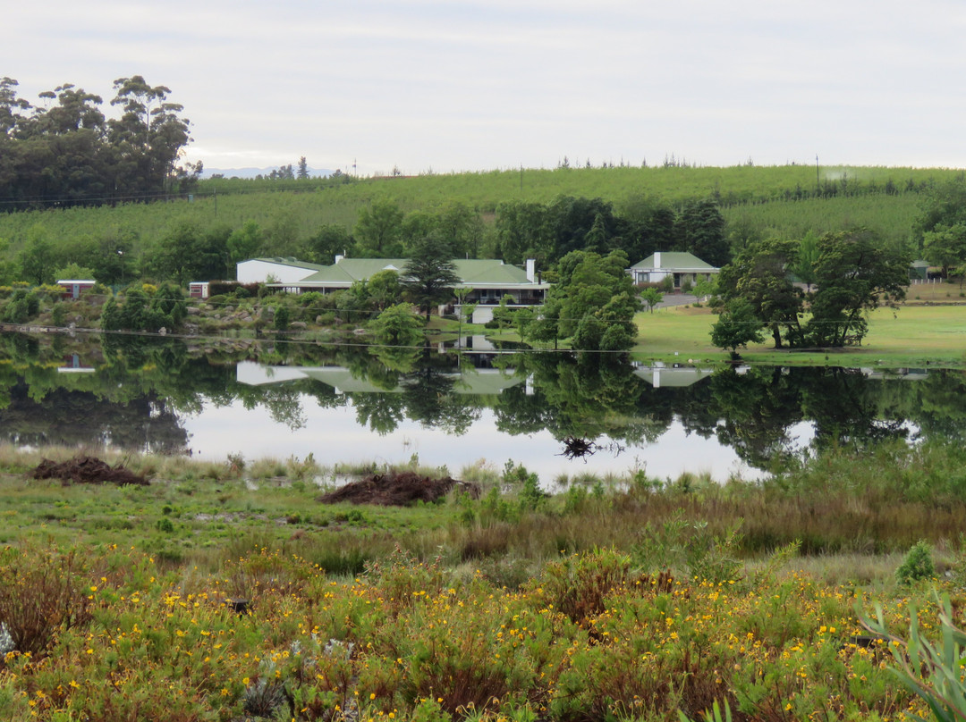 Grabouw餐馆和美食-Elgin Grabouw Country Club