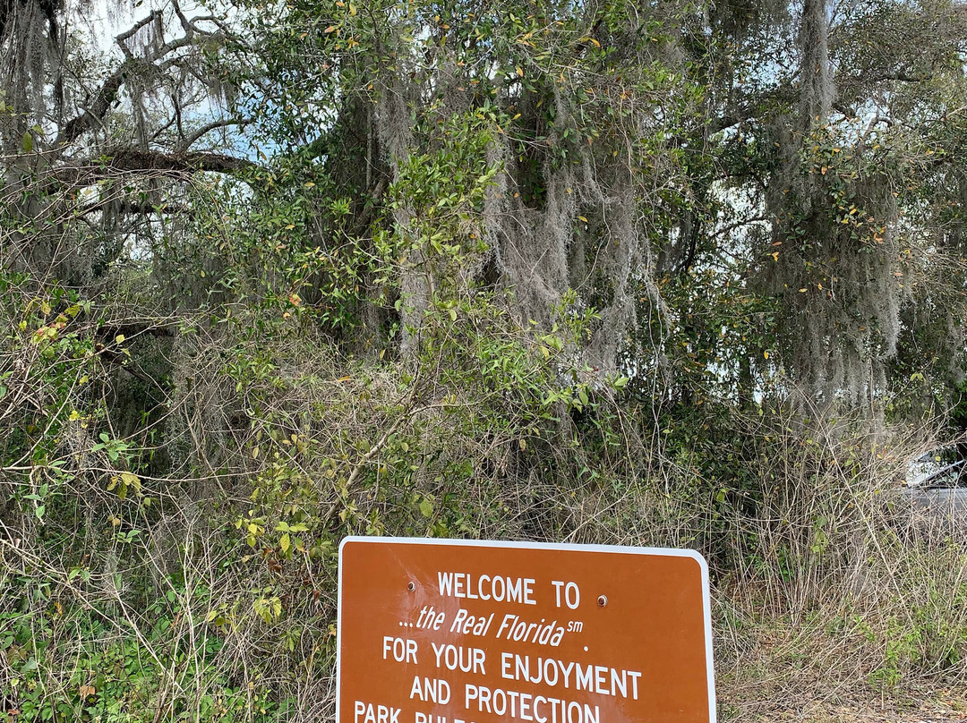 Little Manatee River State Park-Wimauma必去景点