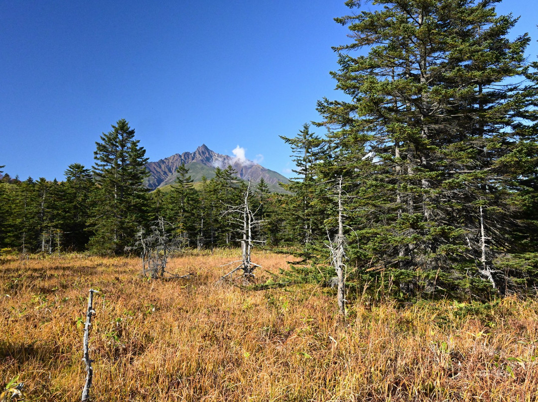 Minamihama Wetland-利尻富士町必去景点