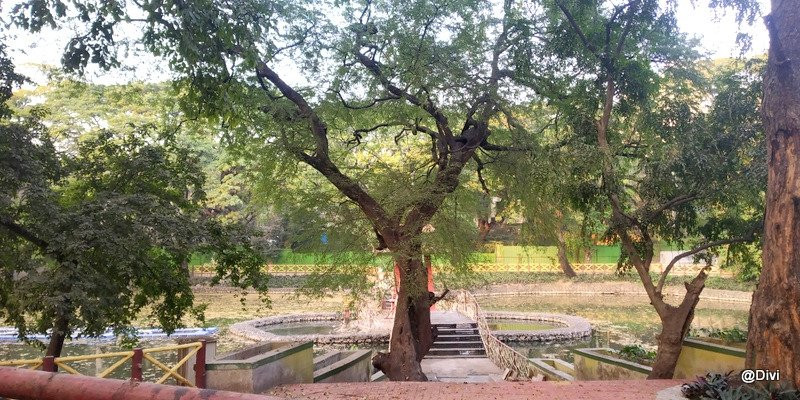 Peshwe Udyan Zoo-浦那必去景点