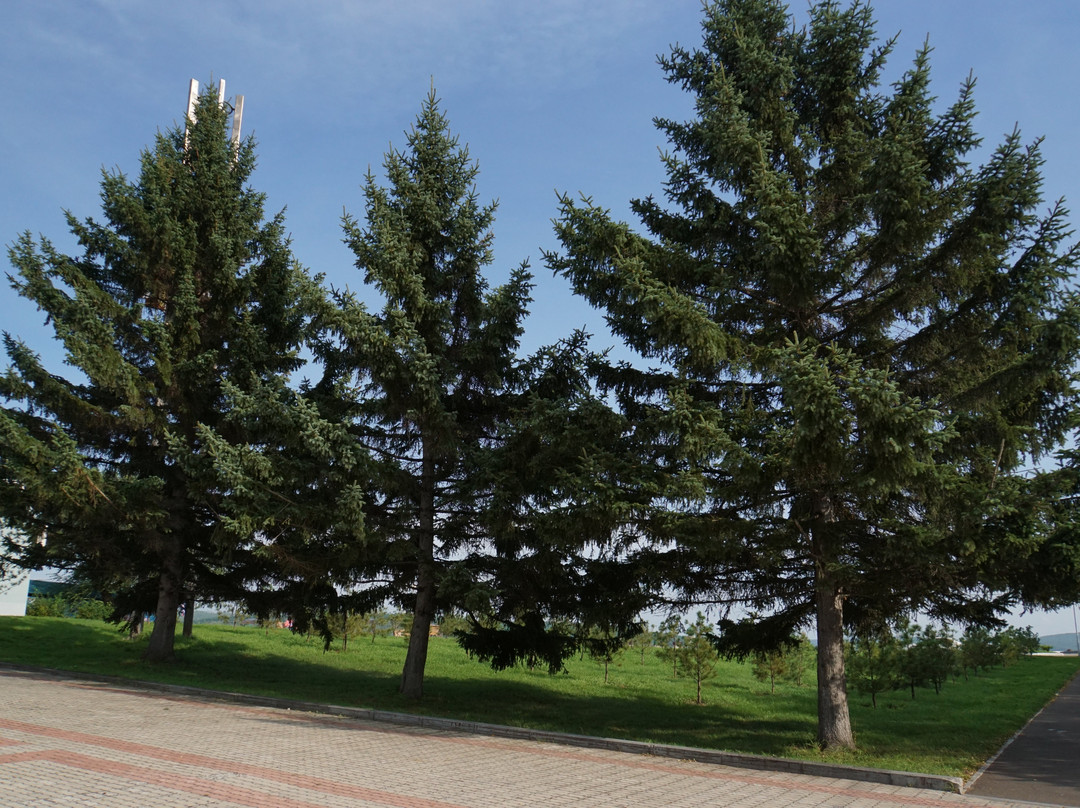 Amur Embankment-Komsomolsk-on-Amur必去景点