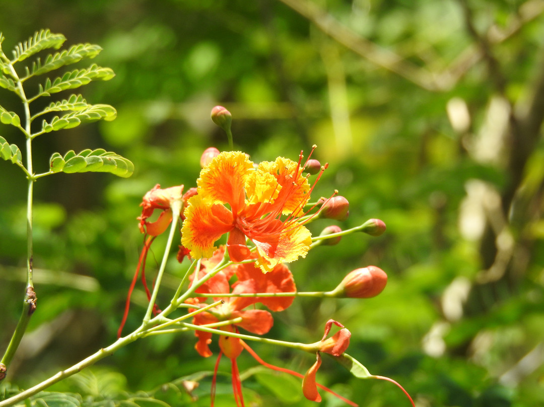Gun Hill Signal Station-Saint George Parish必去景点