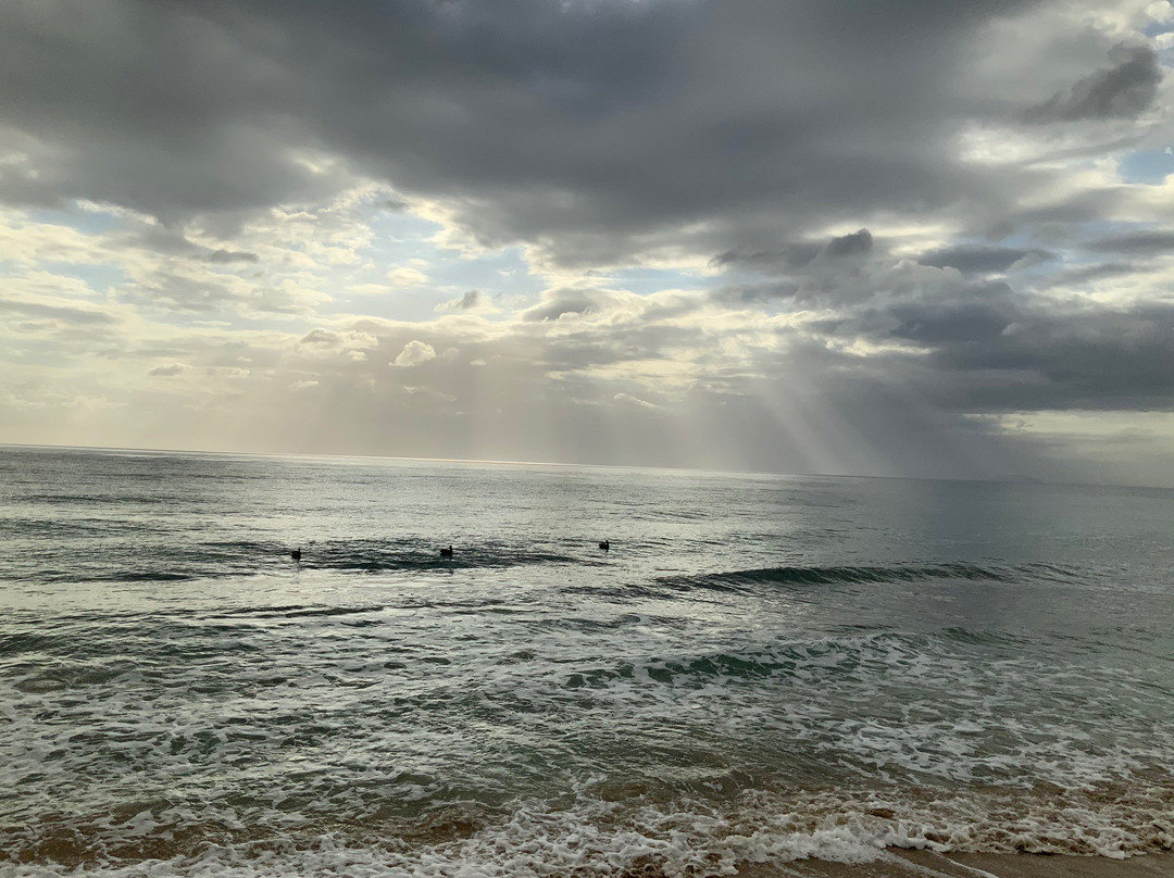 Coconut Palms Inn主图