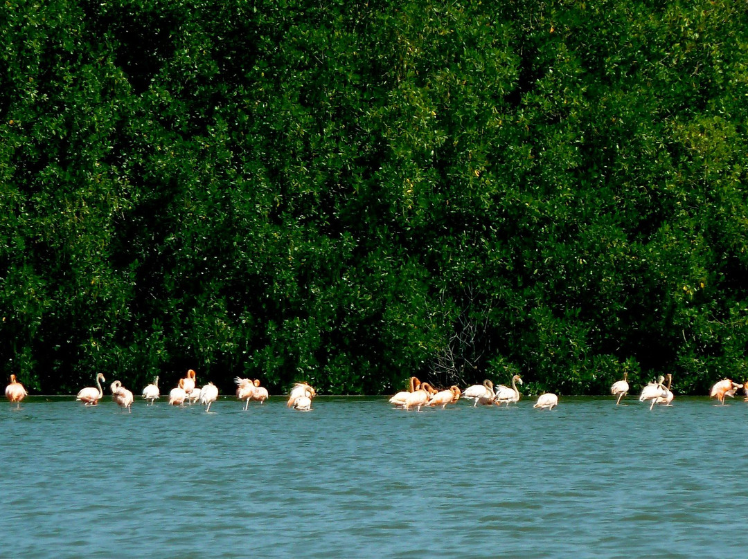 Guanaroca Lagoon景点图片