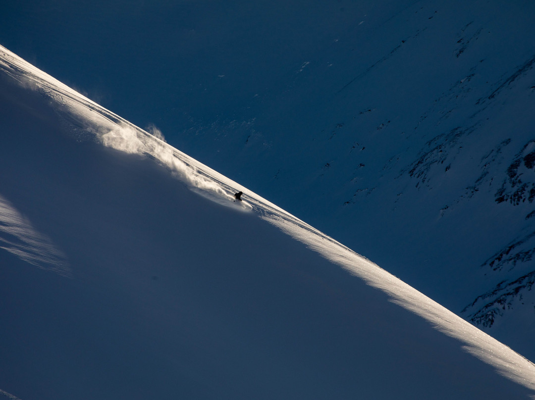 Chugach Powder Guides景点图片