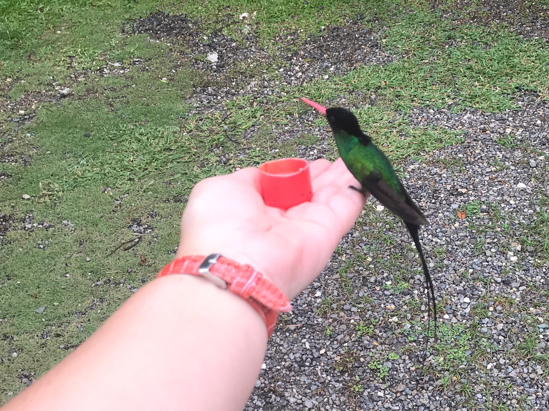 Peat Taylor Tours-奥乔里奥斯必去景点