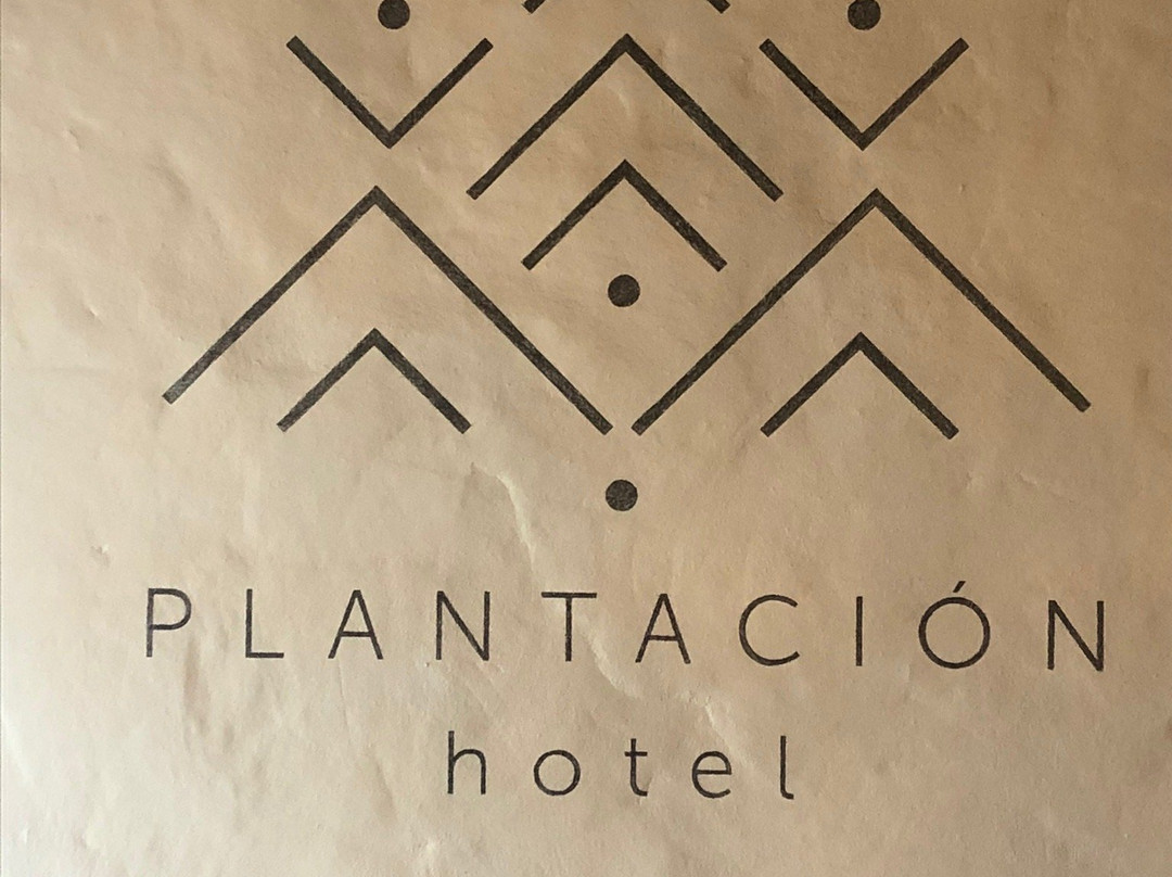 Hotel Plantación主图