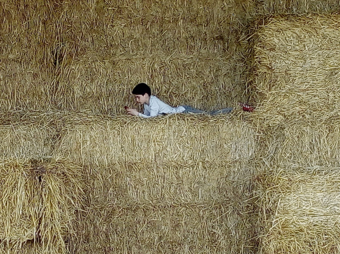 Monte Das Oliveiras主图