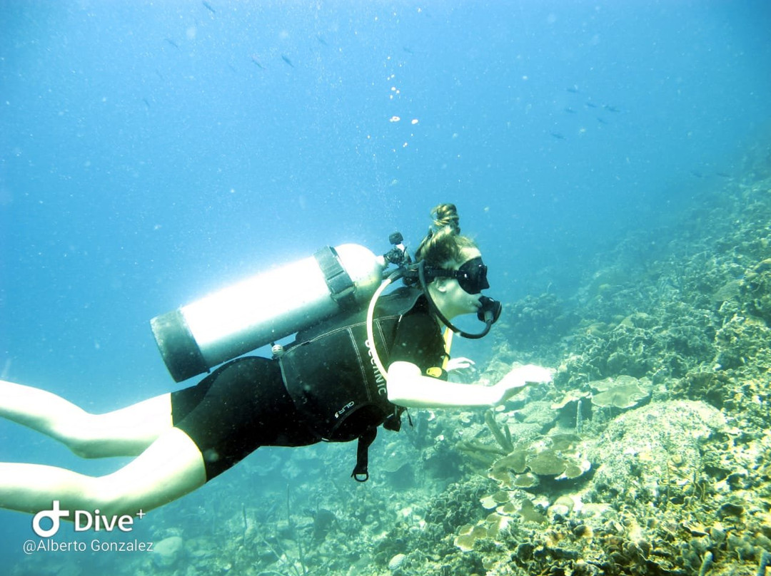 Rincón del mar Diving景点图片