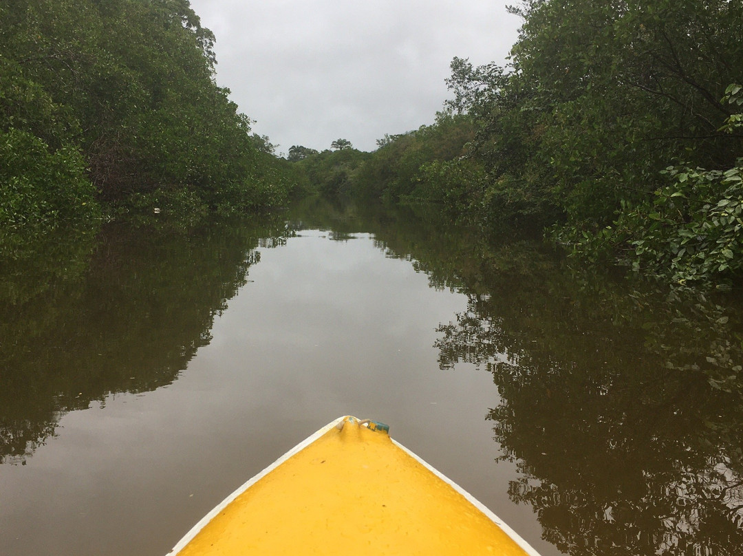 Kayak Paraty - Water sports景点图片