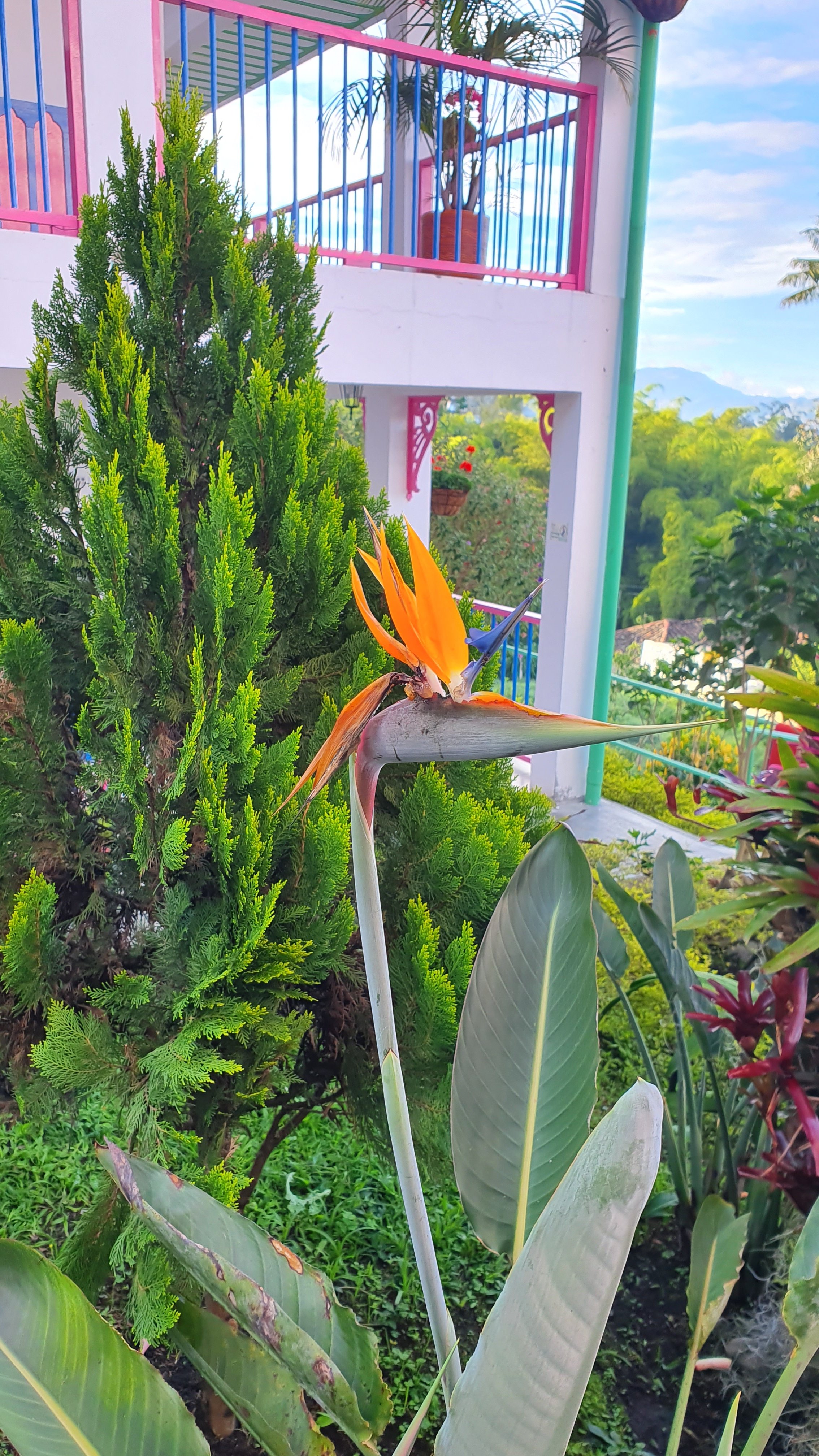 Hotel El Jardin Salento-浴室