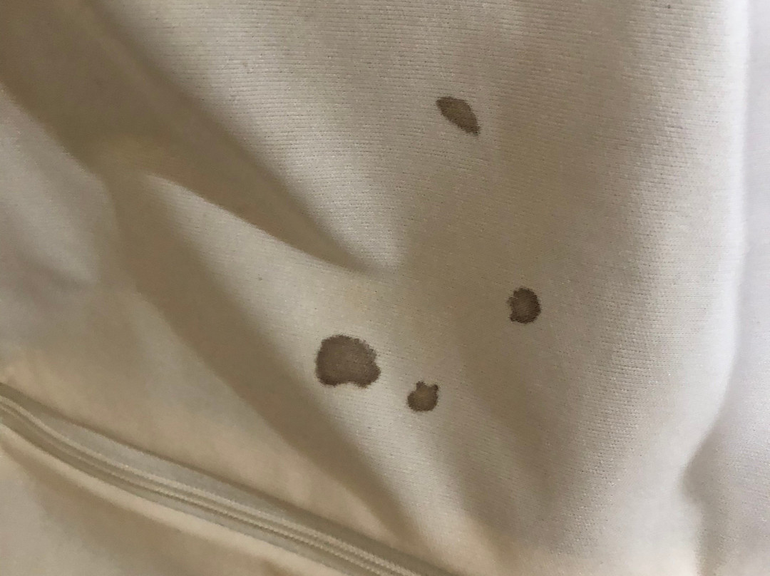 Travelodge by Wyndham Brea主图