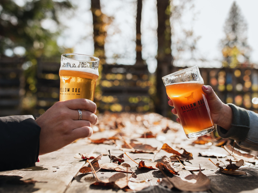 Yellow Dog Brewing Co.-穆迪港必去景点