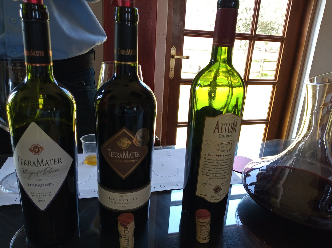 Vina TerraMater-Isla de Maipo必去景点