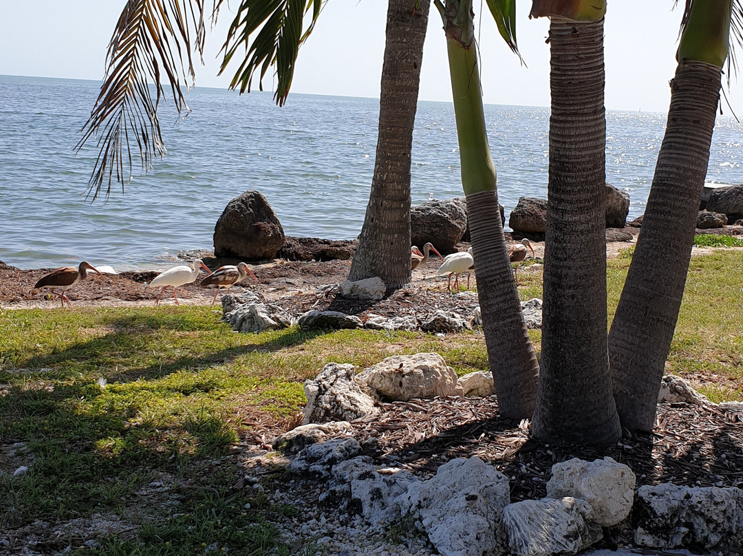 Seascape Resort and Marina主图