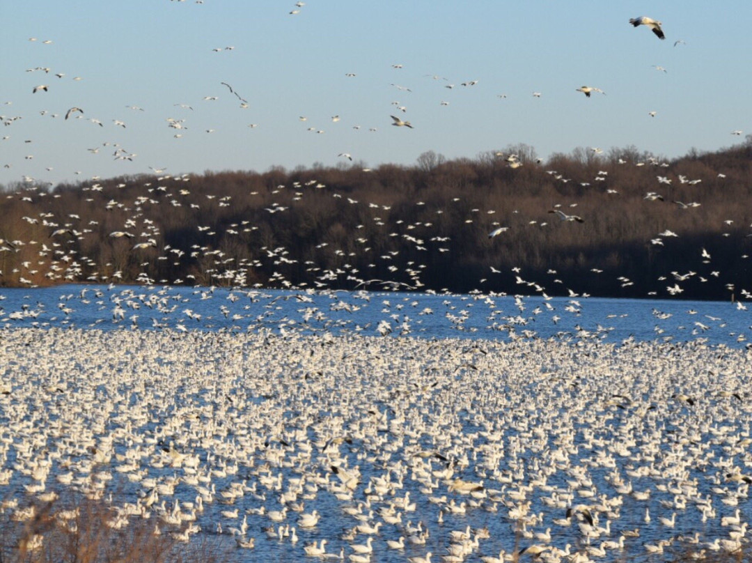Middle Creek Wildlife Management Area景点图片