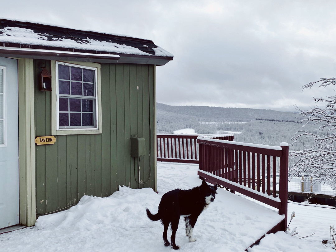 Highlanders View Bed & Breakfast主图