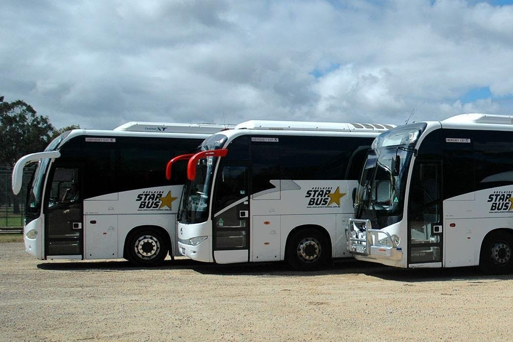 Adelaide Star Bus景点图片