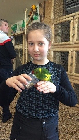 Papugarnia Egzotyczne Zakopane-扎科帕内必去景点