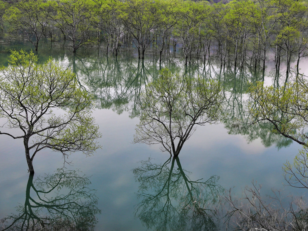 Shirakawa Lake景点图片