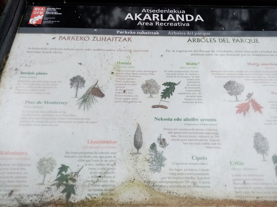 Forestal Park Bilbao景点图片