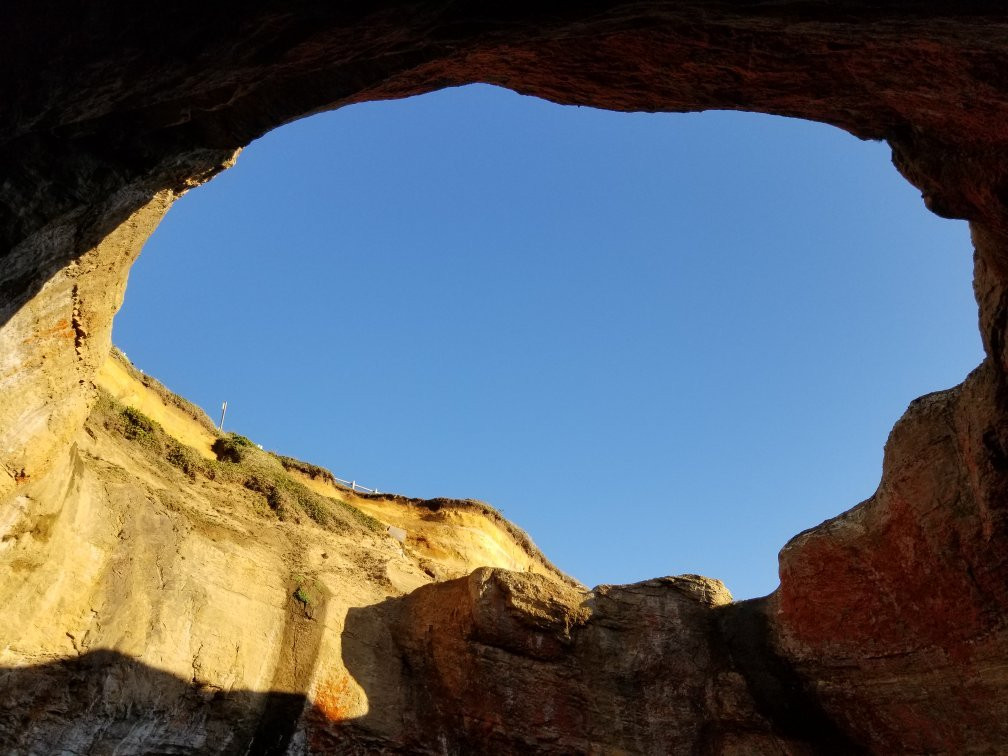 Otter Crest Marine Gardens-Otter Rock必去景点