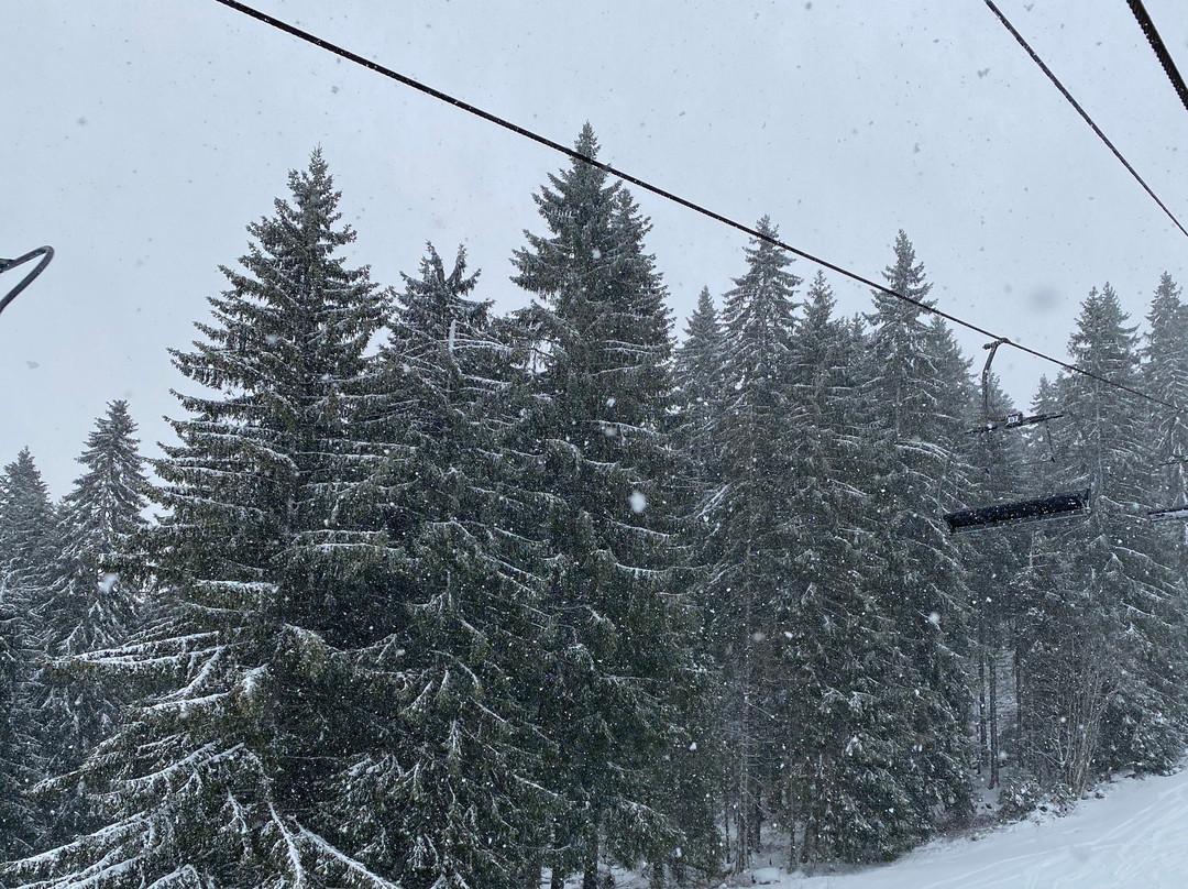 Gerardmer Ski-热拉尔德梅必去景点