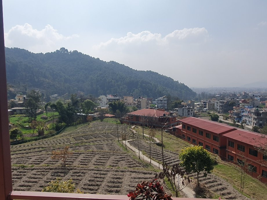 Laxmi's Bed And Breakfast主图